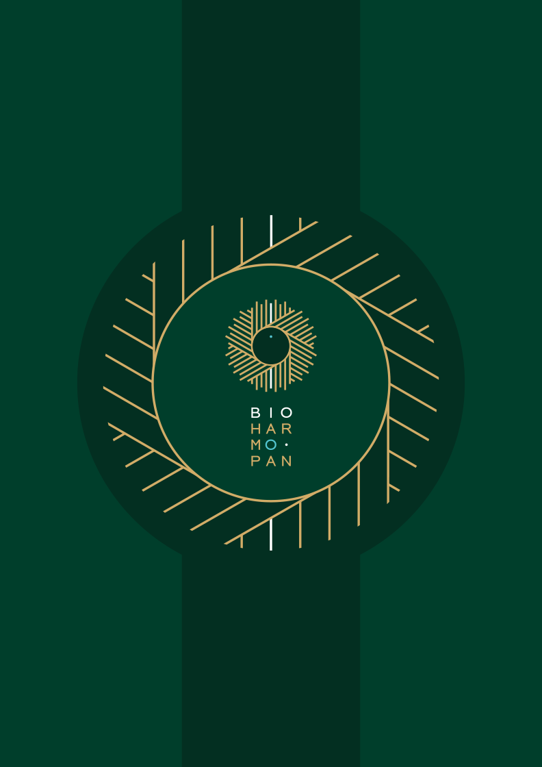 project-image