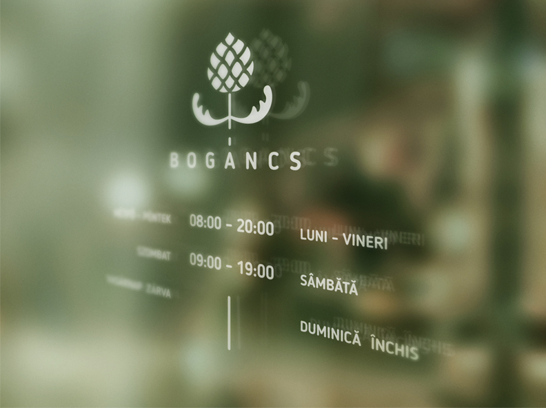 project-image