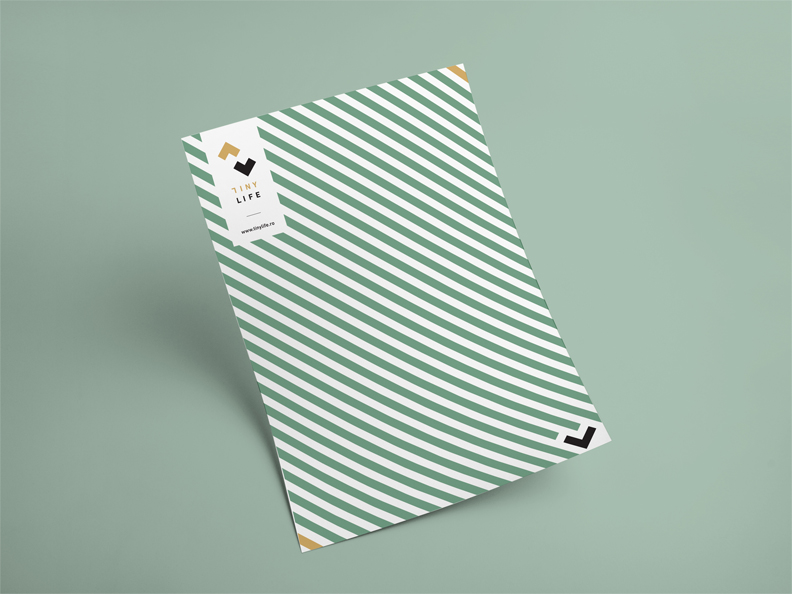 project-image